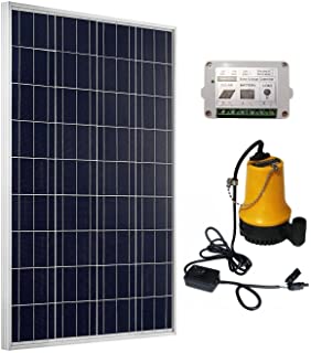 ECO-WORTHY Kit de bomba solar: panel solar de 100W + Bomba de agua solar + regulador solar de 15A