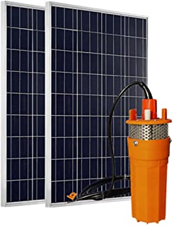 ECO-WORTHY Sistema de agua con energia solar de 24 voltios- panel solar fotovoltaico policristalino 2pcs100W + 1pc 24V Bomba de agua solar sumergible con filtro de acero inoxidable
