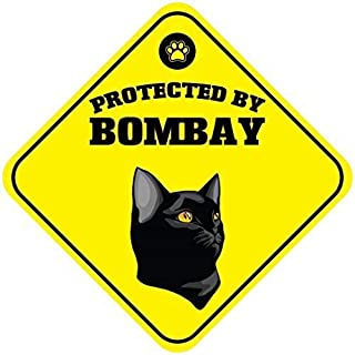 Shimeier Protected by Bombay Cat Retro Vintage Tin Sign Coffee House Business Dining Room Pub Beer 30 cm x 30 cm